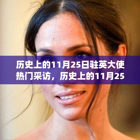 歷史上的11月25日，駐英大使熱門采訪深度解讀