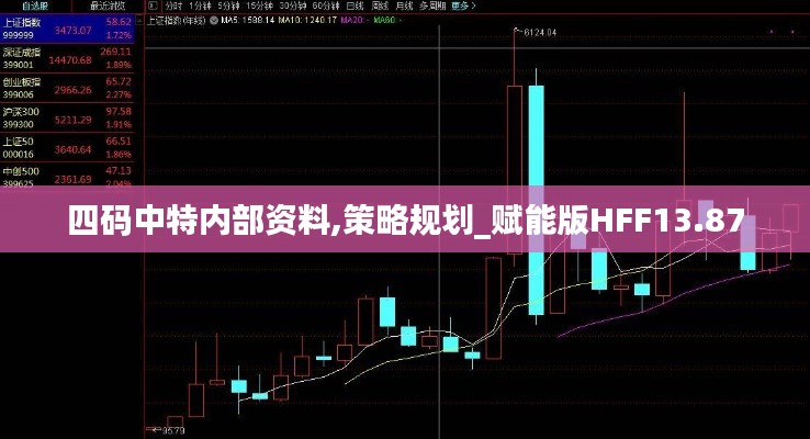 四碼中特內(nèi)部資料,策略規(guī)劃_賦能版HFF13.87