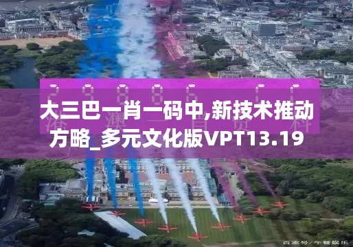 大三巴一肖一碼中,新技術(shù)推動方略_多元文化版VPT13.19