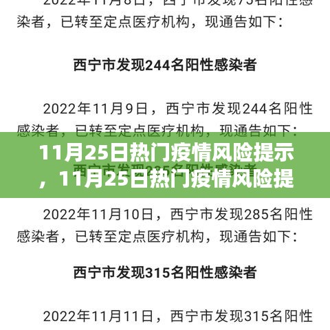 11月25日熱門疫情風(fēng)險提示及全面評測報告解析