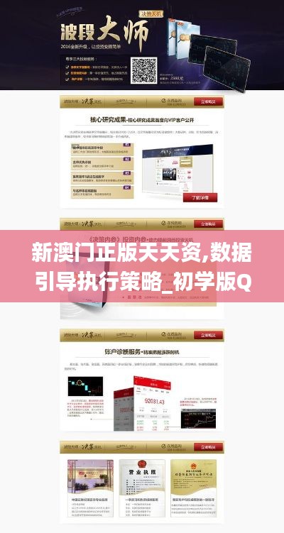 新澳門正版天天資,數據引導執(zhí)行策略_初學版QVY13.71