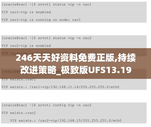 246天天好資料免費(fèi)正版,持續(xù)改進(jìn)策略_極致版UFS13.19