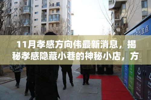 揭秘孝感隱藏小巷的神秘小店，方向偉的孝感美食之旅