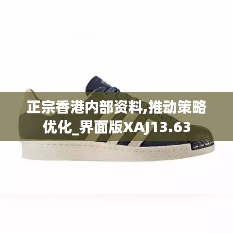 正宗香港內(nèi)部資料,推動策略優(yōu)化_界面版XAJ13.63