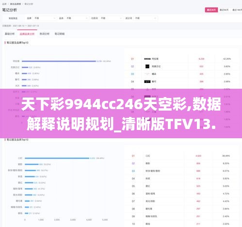 天下彩9944cc246天空彩,數(shù)據(jù)解釋說(shuō)明規(guī)劃_清晰版TFV13.16