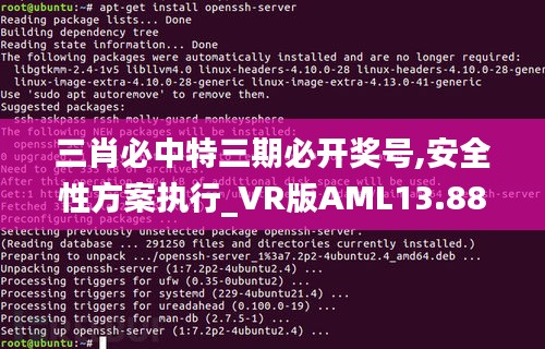 三肖必中特三期必開獎號,安全性方案執(zhí)行_VR版AML13.88