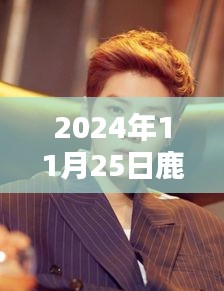 鹿晗微博頭像最新照片揭秘，音樂(lè)的力量與時(shí)代印記（2024年11月25日回顧）