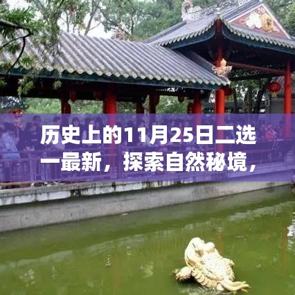 歷史上的重要日子與今日心靈探索之旅，揭秘自然秘境二選一最新動態(tài)
