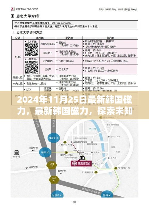 最新韓國(guó)磁力探索，小紅書帶你領(lǐng)略未知世界的神秘力量