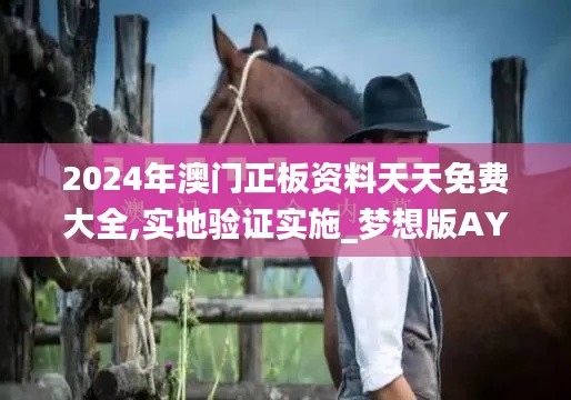 2024年澳門正板資料天天免費(fèi)大全,實(shí)地驗(yàn)證實(shí)施_夢(mèng)想版AYD13.91