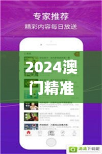 2024澳門精準(zhǔn)資料大全管家婆,快速解答方案設(shè)計(jì)_影像版VTJ13.27