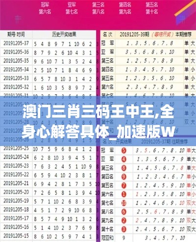 澳門三肖三碼王中王,全身心解答具體_加速版WUX13.82