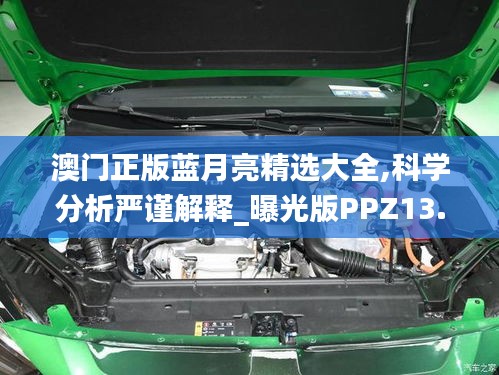 澳門正版藍(lán)月亮精選大全,科學(xué)分析嚴(yán)謹(jǐn)解釋_曝光版PPZ13.63