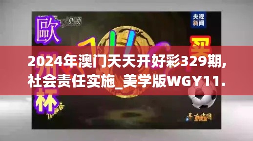 2024年澳門天天開好彩329期,社會(huì)責(zé)任實(shí)施_美學(xué)版WGY11.10