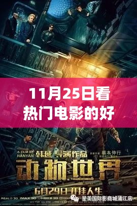 11月25日熱門電影網(wǎng)站之旅，光影中的成長與自信之源