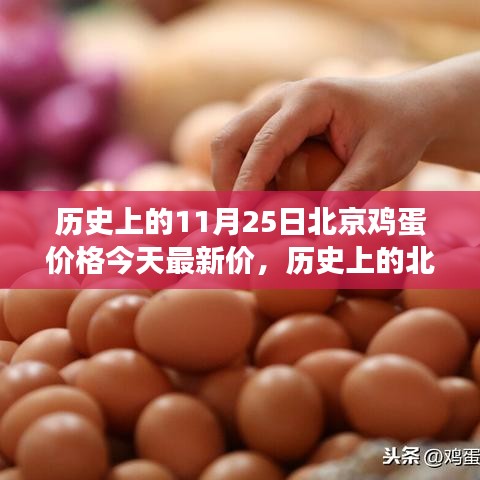 北京雞蛋價(jià)格演變與今日市場最新動(dòng)態(tài)分析，歷史數(shù)據(jù)與今日市場對比報(bào)告