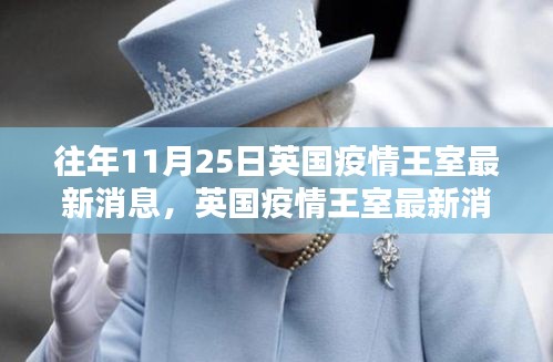 英國(guó)疫情王室聚焦，往年11月25日的三大要點(diǎn)解析與最新消息回顧