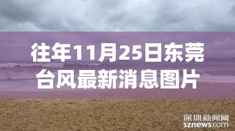 東莞臺風最新消息與美景探索，尋找內(nèi)心平靜的旅程