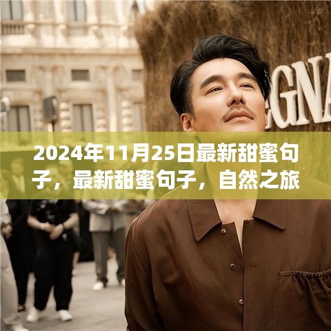 最新甜蜜句子與心靈之旅，尋找寧?kù)o微笑的自然之旅（2024年11月25日）