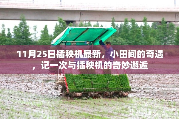 記一次與最新插秧機(jī)的奇妙邂逅，小田間的奇遇