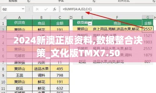 2024新澳正版資料,數(shù)據(jù)整合決策_(dá)文化版TMX7.50
