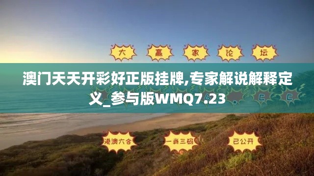 澳門天天開彩好正版掛牌,專家解說解釋定義_參與版WMQ7.23