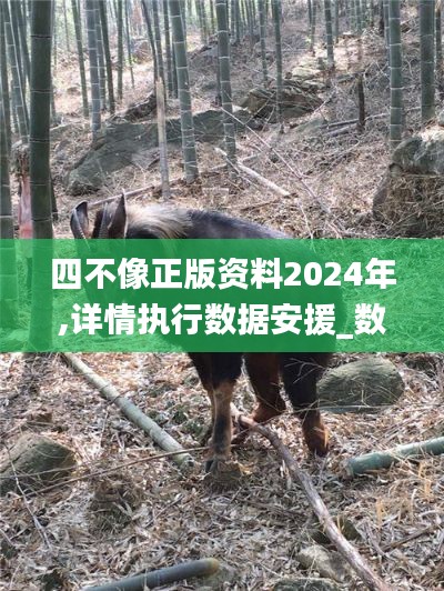四不像正版資料2024年,詳情執(zhí)行數(shù)據(jù)安援_數(shù)字處理版UJU7.1