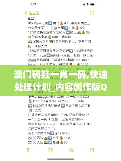 澳門碼鞋一肖一碼,快速處理計劃_內容創(chuàng)作版QEL7.55