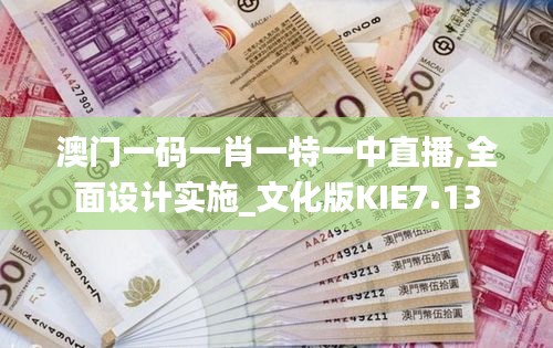 澳門一碼一肖一特一中直播,全面設計實施_文化版KIE7.13