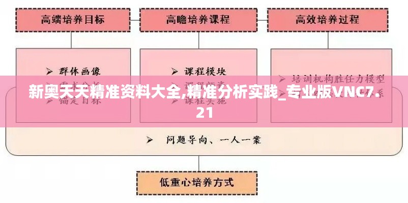 新奧天天精準(zhǔn)資料大全,精準(zhǔn)分析實踐_專業(yè)版VNC7.21
