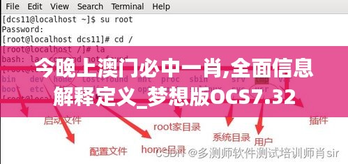 今晚上澳門必中一肖,全面信息解釋定義_夢想版OCS7.32