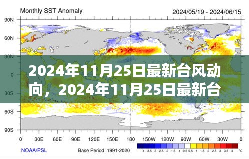 2024年11月25日最新臺(tái)風(fēng)動(dòng)向深度解析