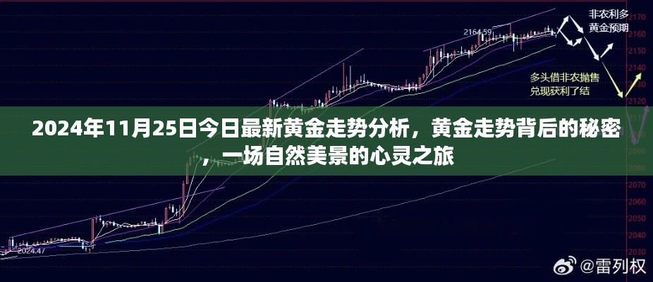 揭秘黃金走勢背后的秘密，自然美景的心靈之旅（最新黃金走勢分析）