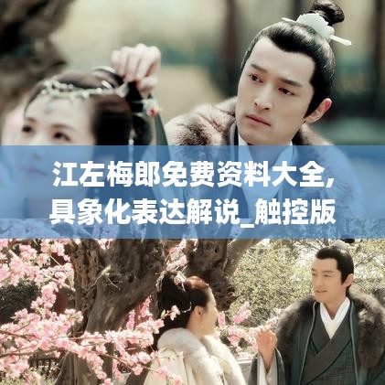 江左梅郎免費(fèi)資料大全,具象化表達(dá)解說_觸控版BTR7.79