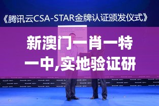 新澳門一肖一特一中,實(shí)地驗(yàn)證研究方案_投影版HZP7.46