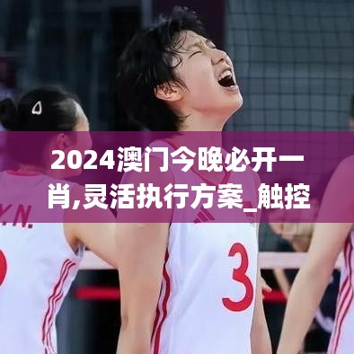 2024澳門今晚必開一肖,靈活執(zhí)行方案_觸控版DHK7.63