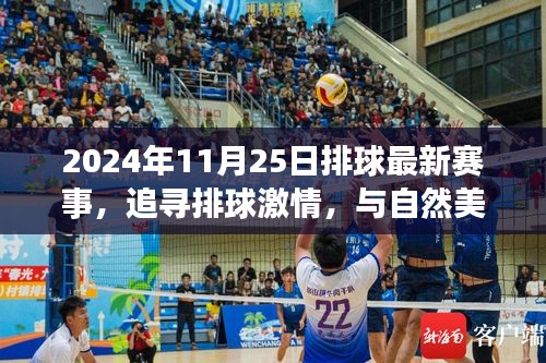 追尋激情與美景，2024年11月25日排球賽事之旅