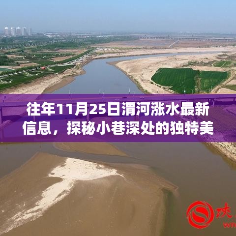 渭河漲水日探秘獨(dú)特美味，隱藏版美食小店揭秘，美食與自然的交響樂章