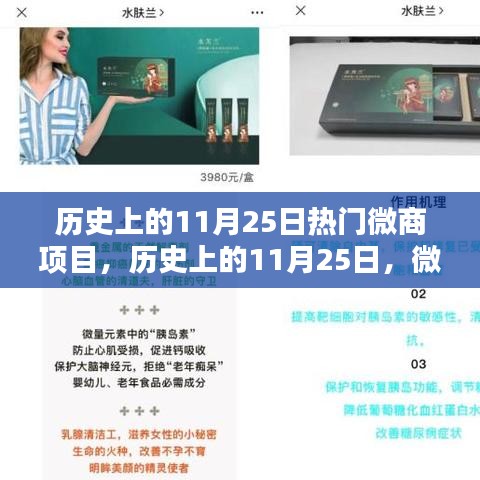 歷史上的11月25日微商項(xiàng)目輝煌時(shí)刻回顧??