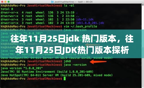 往年11月25日J(rèn)DK熱門版本深度解析，觀點與個人立場探討