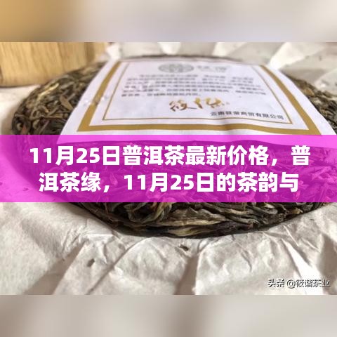 11月25日普洱茶最新價(jià)格，茶韻與溫情的邂逅