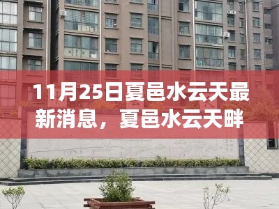 夏邑水云天畔的秋日友情之旅，最新消息與溫馨日常