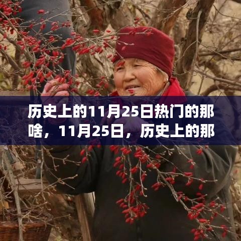 歷史上的溫馨趣事與深厚友情，聚焦11月25日的那些精彩瞬間