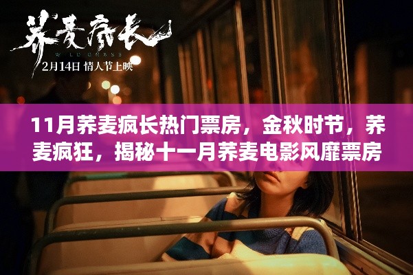 揭秘十一月蕎麥電影風(fēng)靡背后的故事，金秋時(shí)節(jié)蕎麥瘋狂引領(lǐng)票房熱潮