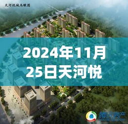 天河悅城最新動態(tài)，2024年11月25日的溫馨日常與趣事