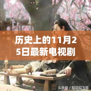 心向遠方，追尋自然美景的電視劇之旅，手機在線觀看，歷史11月25日
