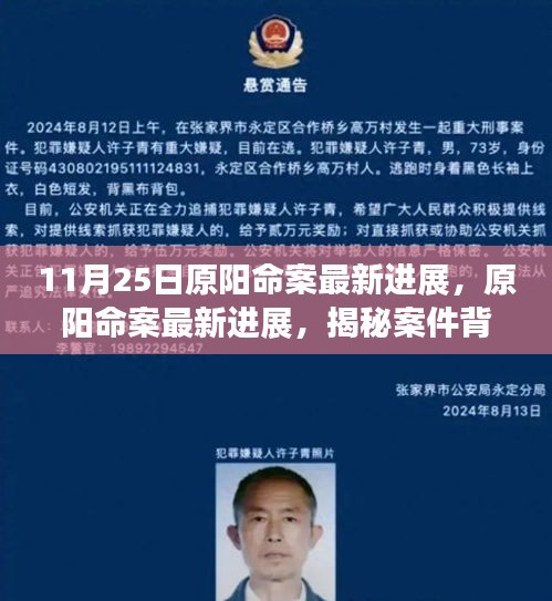 筆走龍蛇 第6頁(yè)