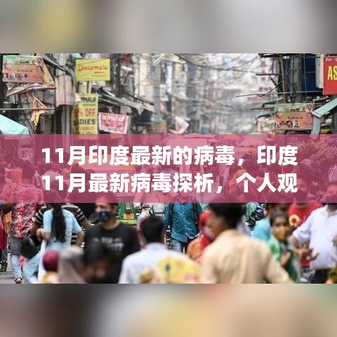 印度11月最新病毒探析，個人觀點(diǎn)與深度剖析