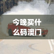 今晚買什么碼澳門,高效性設(shè)計規(guī)劃_結(jié)合版GTR13.14