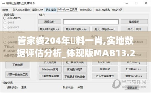 管家婆204年資料一肖,實地數(shù)據(jù)評估分析_體現(xiàn)版MAB13.24
